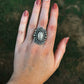Wrasse Fish Fossil Ring