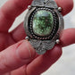 Ultra High Grade Damale Variscite
