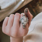 White Buffalo Ring